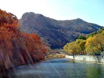 管家婆黑白马报图库，氨水价格